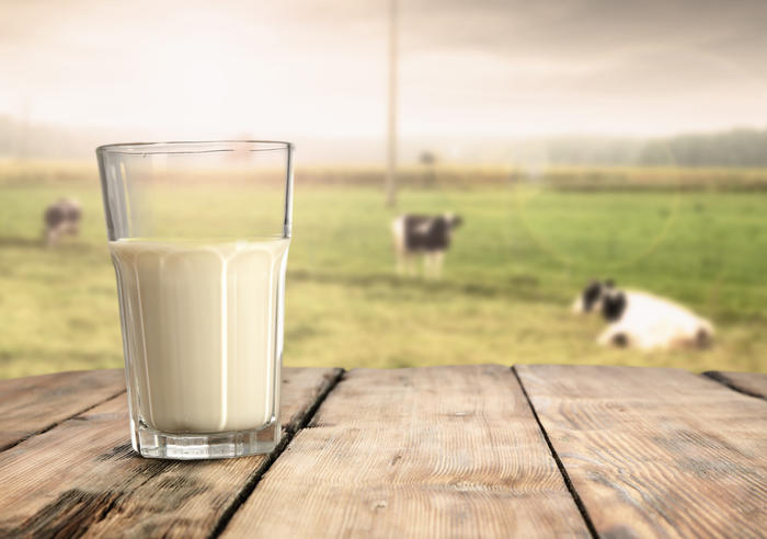 Glass med melk med kuer i bakgrunn Glass med melk med kuer i bakgrunn